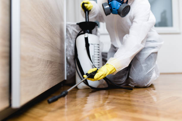 Best Best Pest Control Companies  in Viola, NY