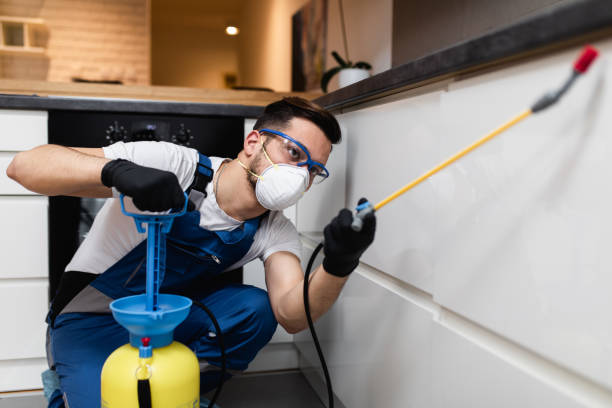 Best Pest Control for Homes  in Viola, NY
