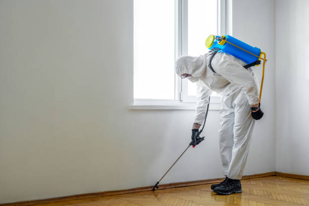 Best Pest Prevention Services  in Viola, NY
