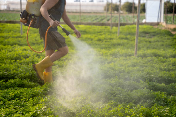 Best Wasp Removal Services  in Viola, NY