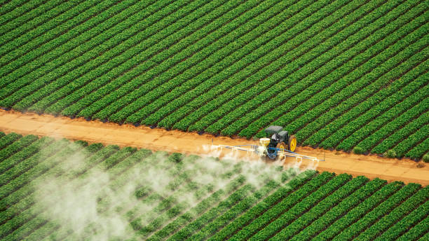 Best Mosquito Control Services  in Viola, NY