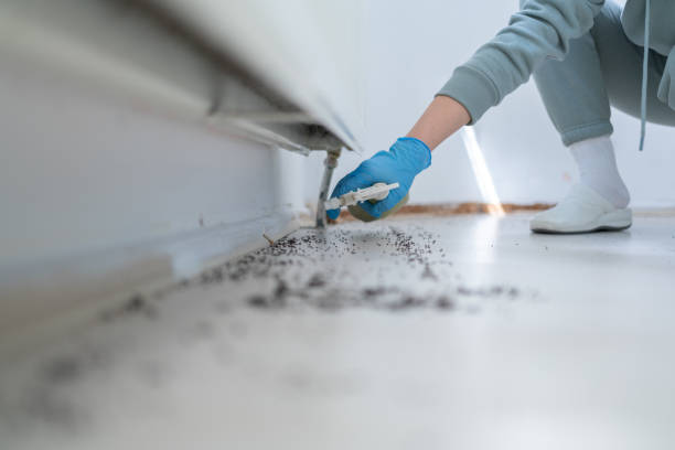 Best Commercial Pest Control Services  in Viola, NY