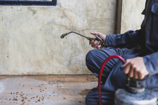 Best Exterminator Services  in Viola, NY